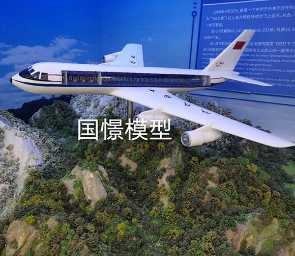 栾川县飞机模型